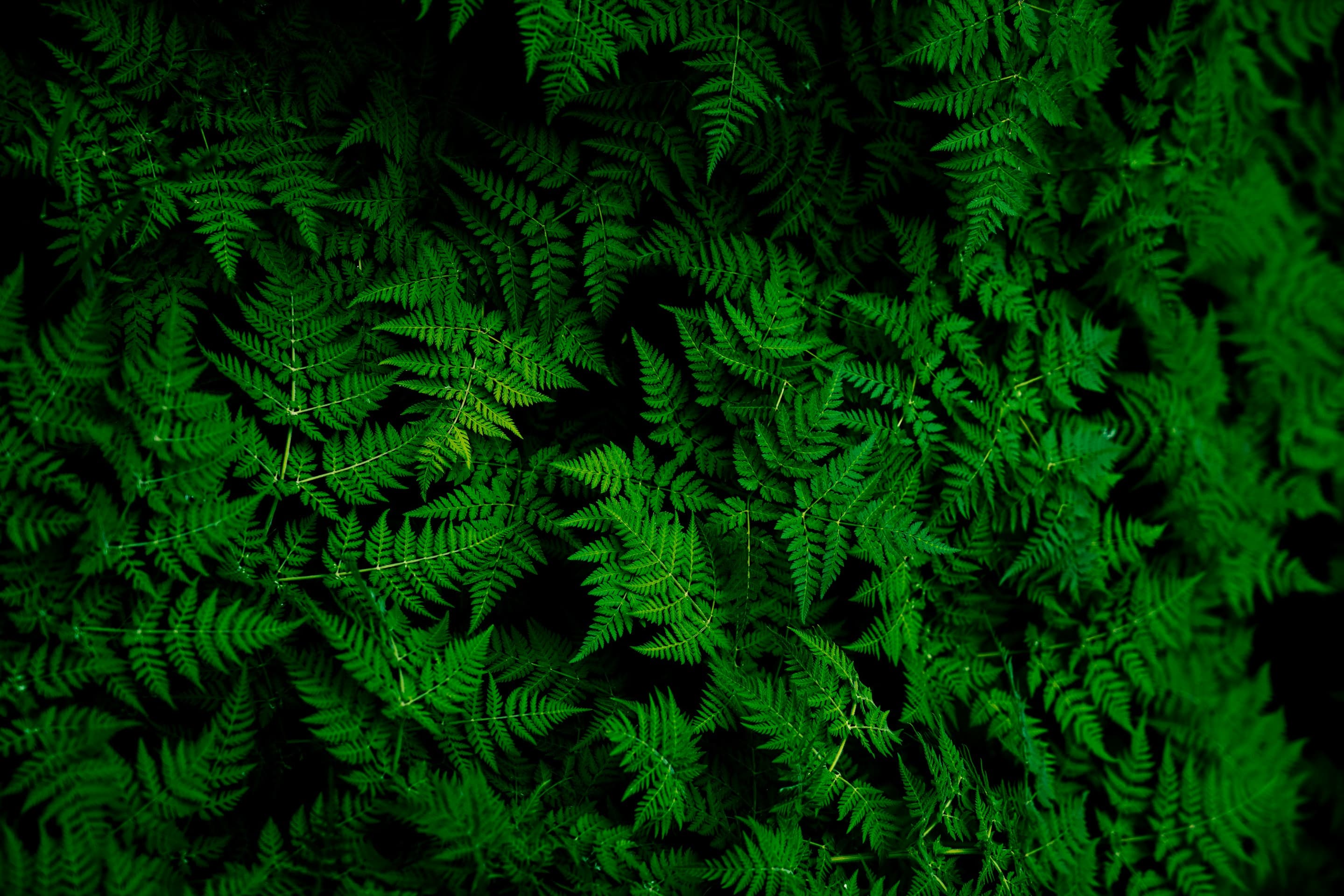 NOURA Skincare Background